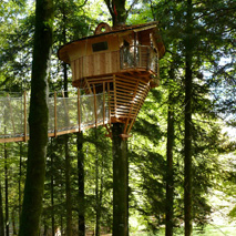 Cabanes dans les arbres